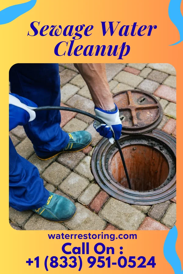 Sewage Water Cleanup in Guthrie, KY