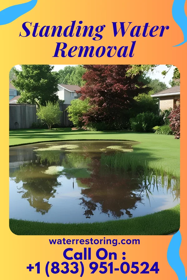 Standing Water Removal in Guthrie, KY